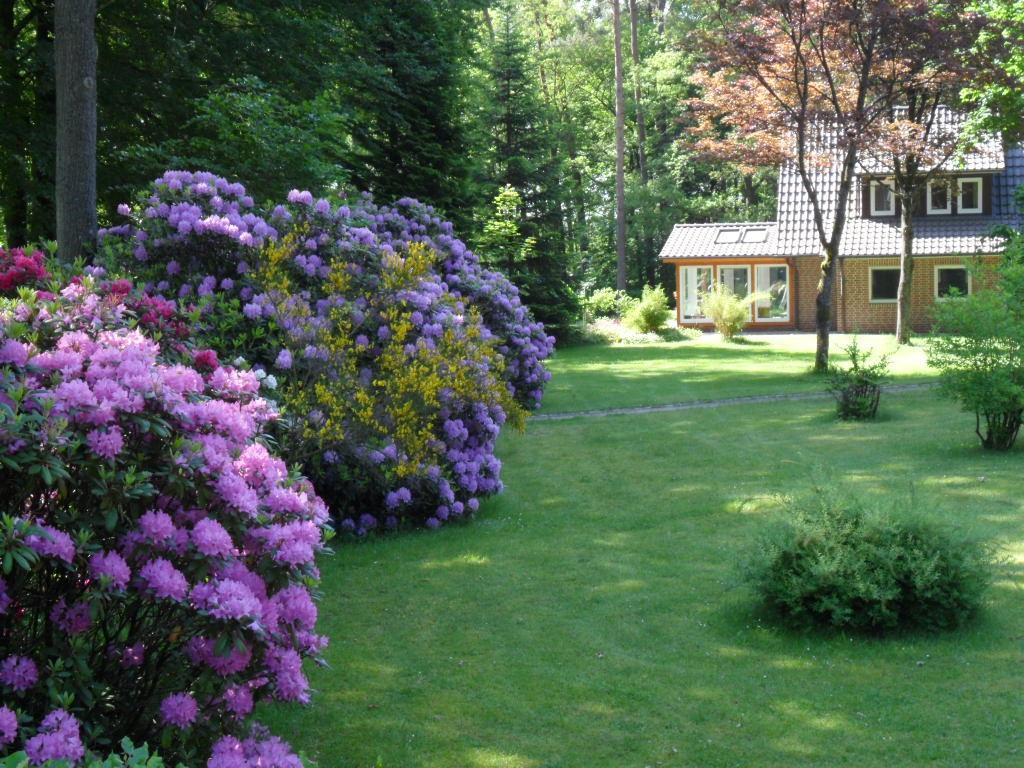 Ferienwohnungen / Ferienhaus Wahlers Bispingen Εξωτερικό φωτογραφία